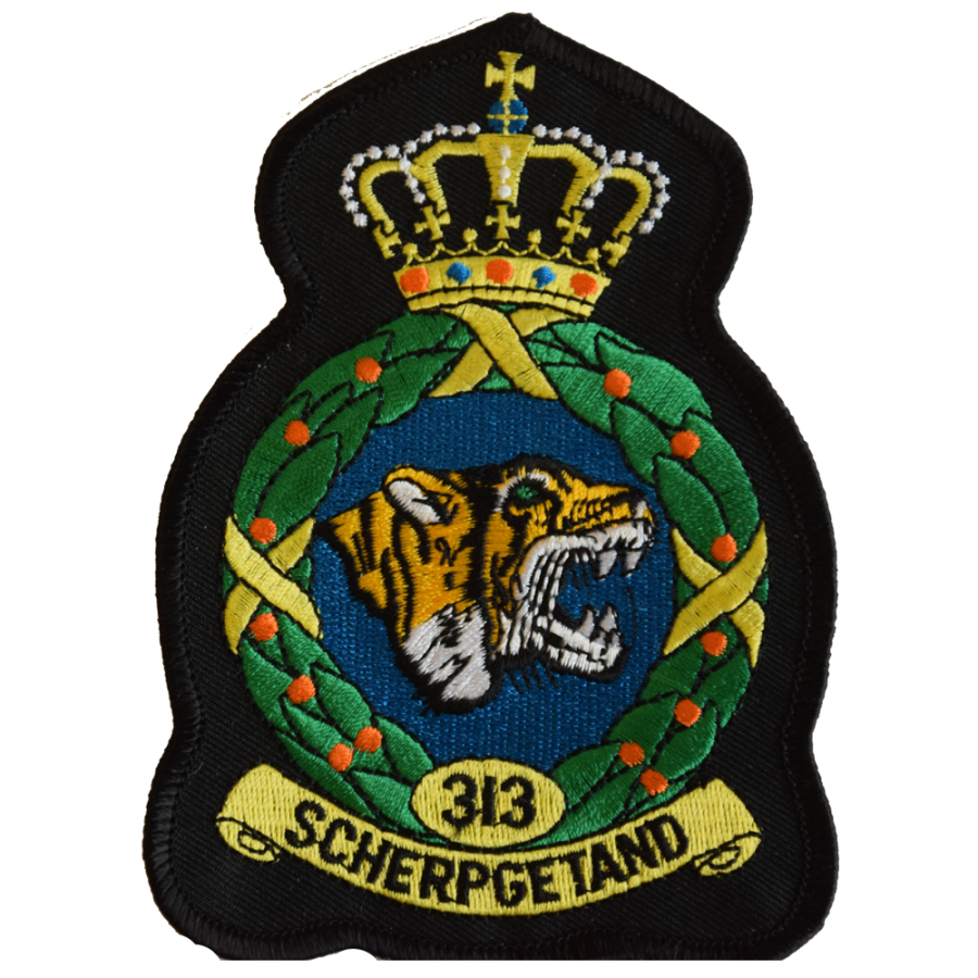 Squadron Logo