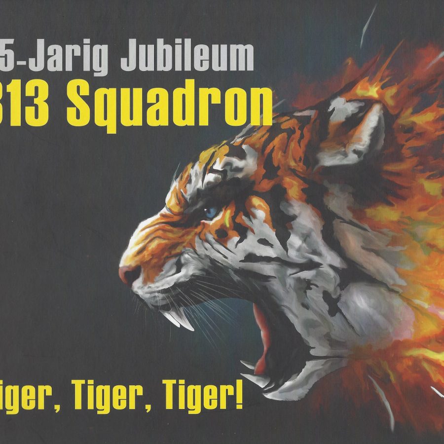Jubileum 65 jaar 313 Squadron