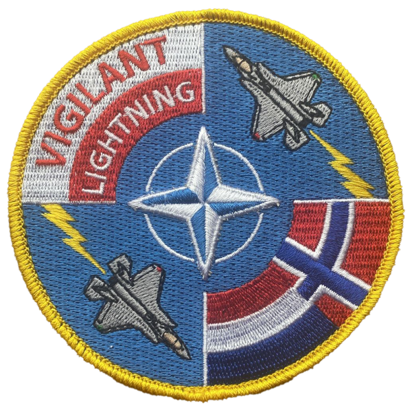 Vigilant Lightning - Polen 2025