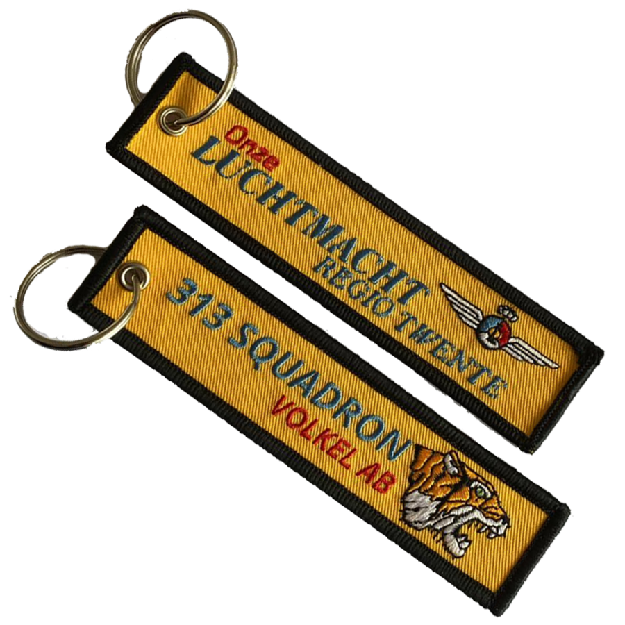KNVOL Regio Twente - 313 Squadron