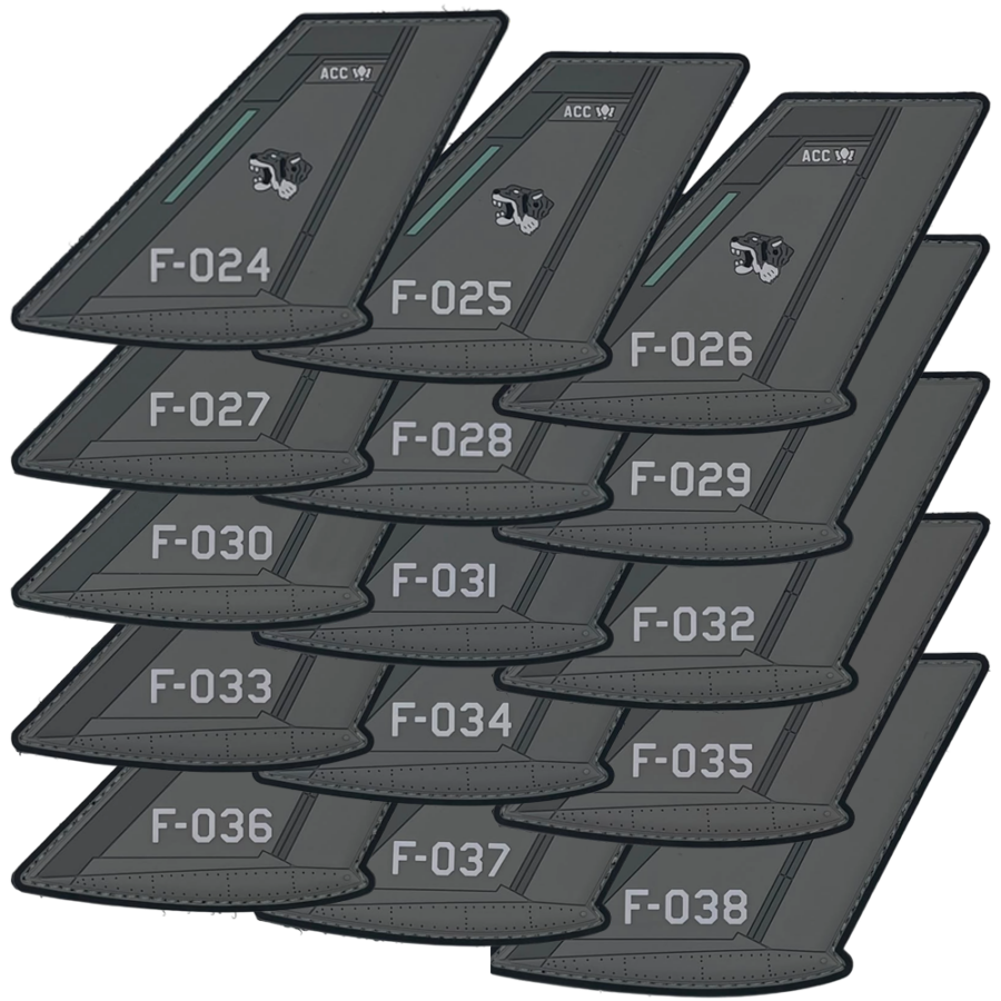 Set 313 Sqn tail patches